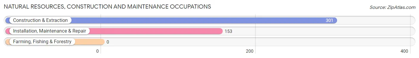 Natural Resources, Construction and Maintenance Occupations in Zip Code 33838