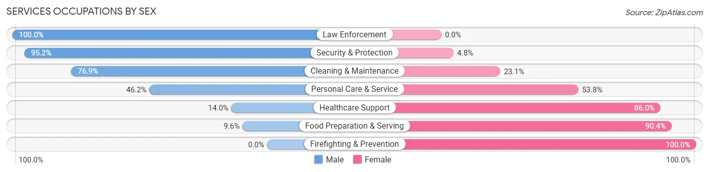 Services Occupations by Sex in Zip Code 33841