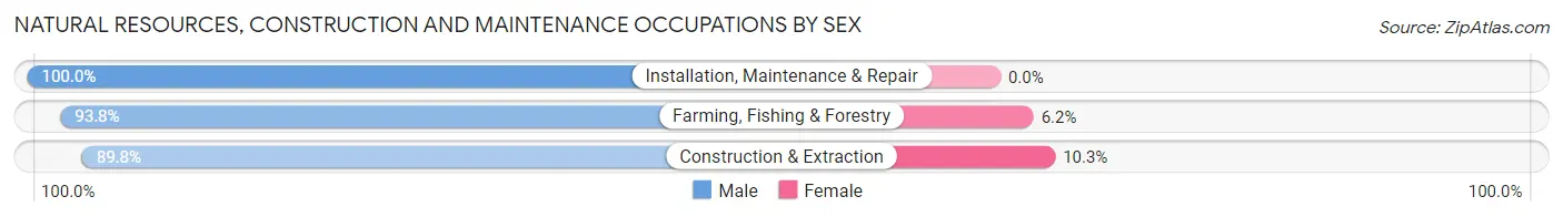 Natural Resources, Construction and Maintenance Occupations by Sex in Zip Code 33843