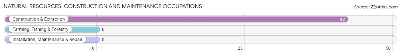 Natural Resources, Construction and Maintenance Occupations in Zip Code 33857