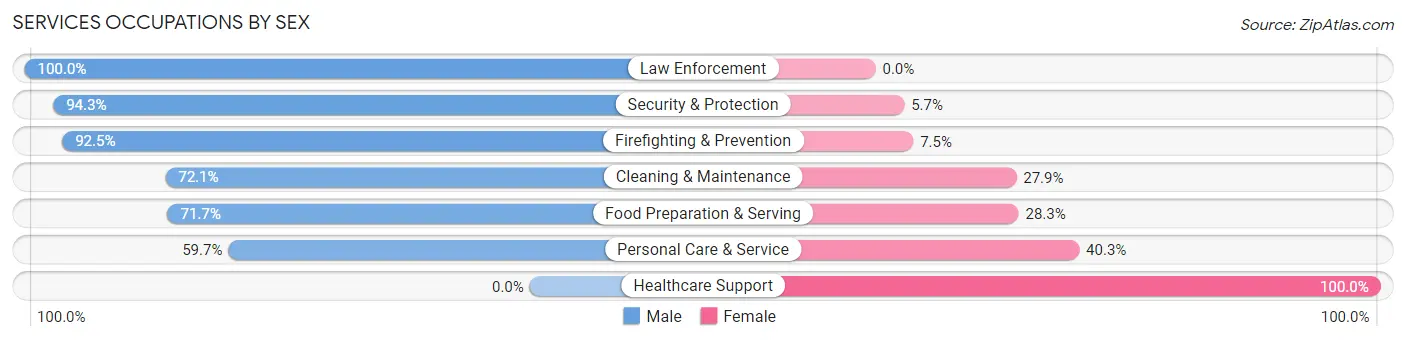 Services Occupations by Sex in Zip Code 33859