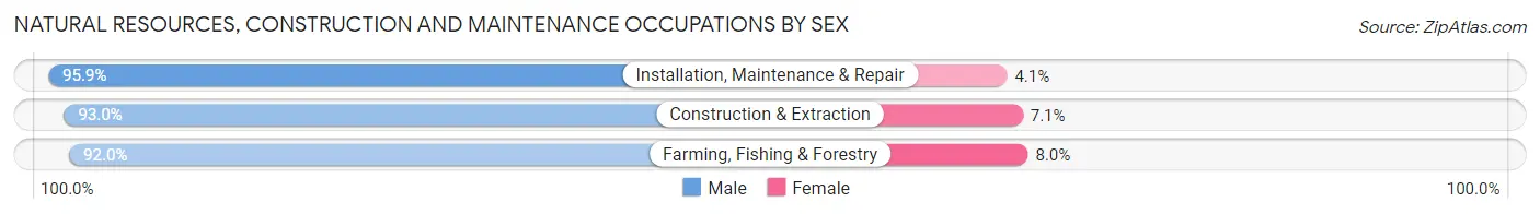 Natural Resources, Construction and Maintenance Occupations by Sex in Zip Code 33880