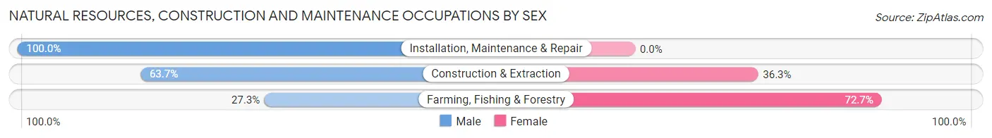 Natural Resources, Construction and Maintenance Occupations by Sex in Zip Code 33903