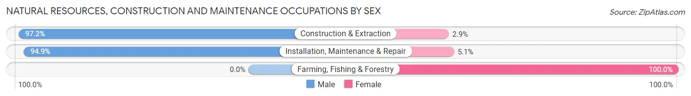 Natural Resources, Construction and Maintenance Occupations by Sex in Zip Code 33905