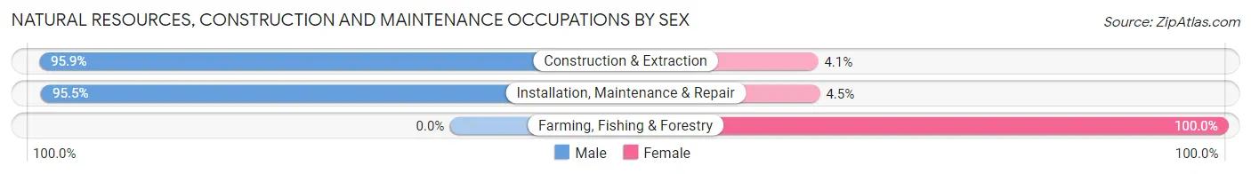 Natural Resources, Construction and Maintenance Occupations by Sex in Zip Code 33912