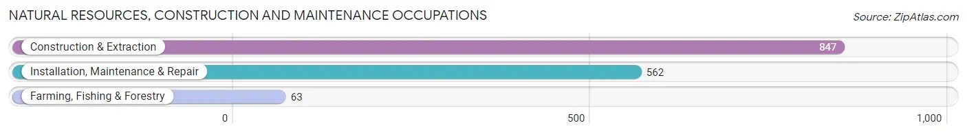 Natural Resources, Construction and Maintenance Occupations in Zip Code 33917