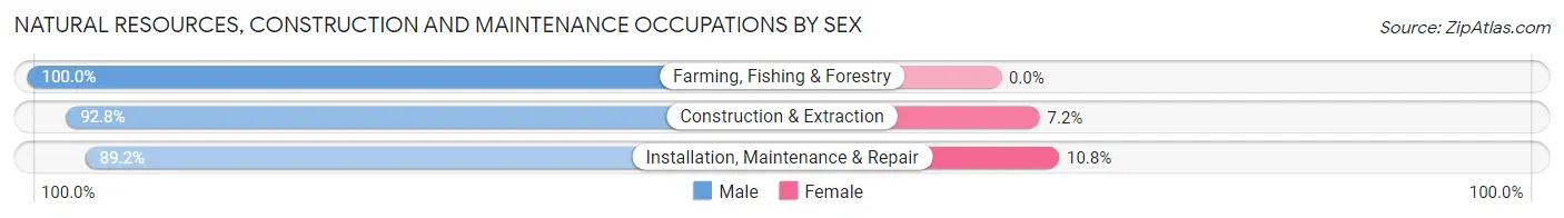 Natural Resources, Construction and Maintenance Occupations by Sex in Zip Code 33919