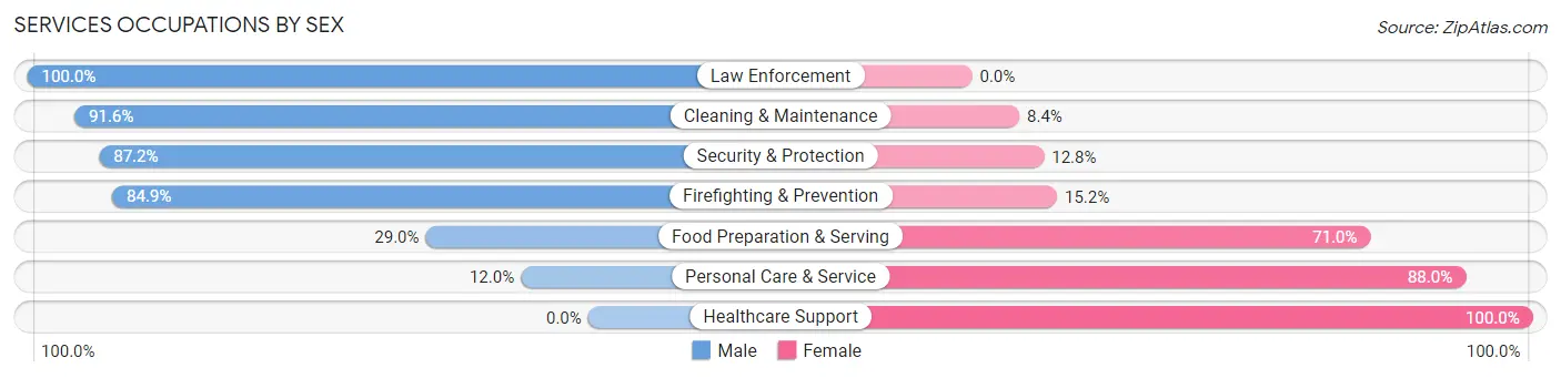Services Occupations by Sex in Zip Code 33920