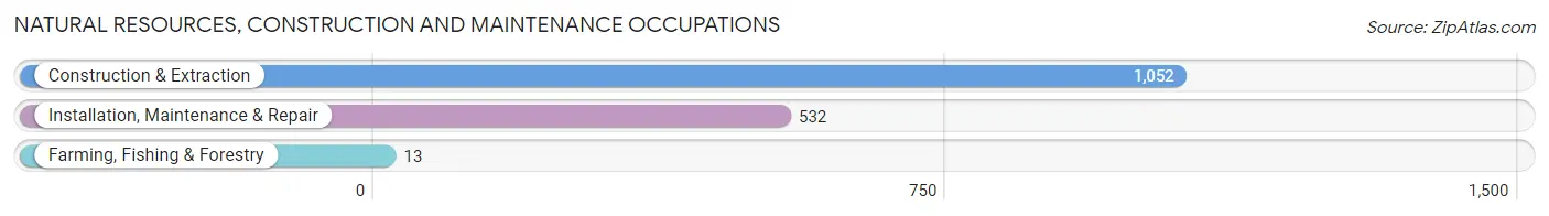 Natural Resources, Construction and Maintenance Occupations in Zip Code 33976