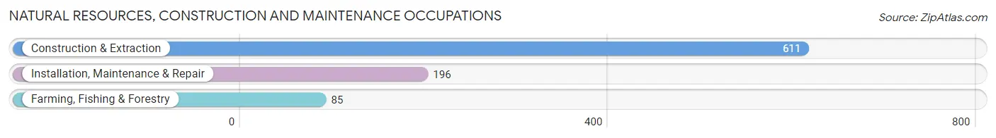 Natural Resources, Construction and Maintenance Occupations in Zip Code 34114