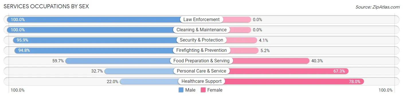Services Occupations by Sex in Zip Code 34119