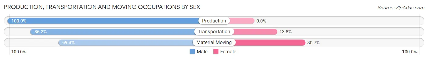 Production, Transportation and Moving Occupations by Sex in Zip Code 34202