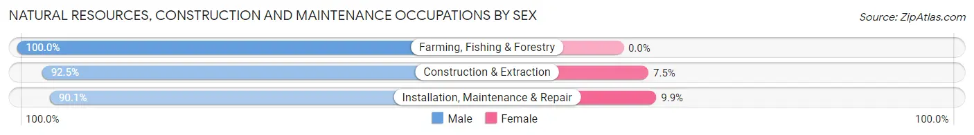 Natural Resources, Construction and Maintenance Occupations by Sex in Zip Code 34207
