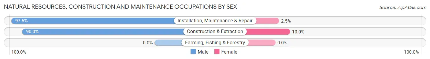 Natural Resources, Construction and Maintenance Occupations by Sex in Zip Code 34275