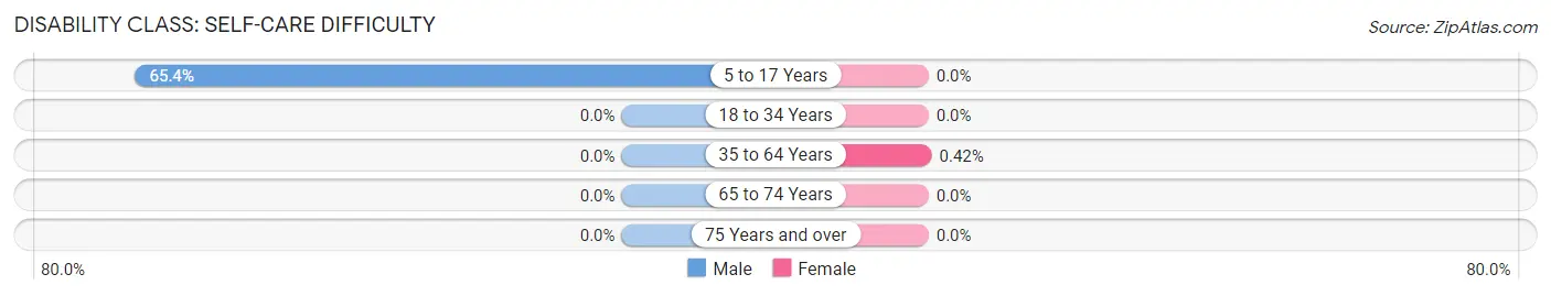 Disability in Zip Code 34289: <span>Self-Care Difficulty</span>