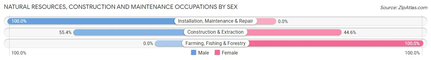 Natural Resources, Construction and Maintenance Occupations by Sex in Zip Code 34431
