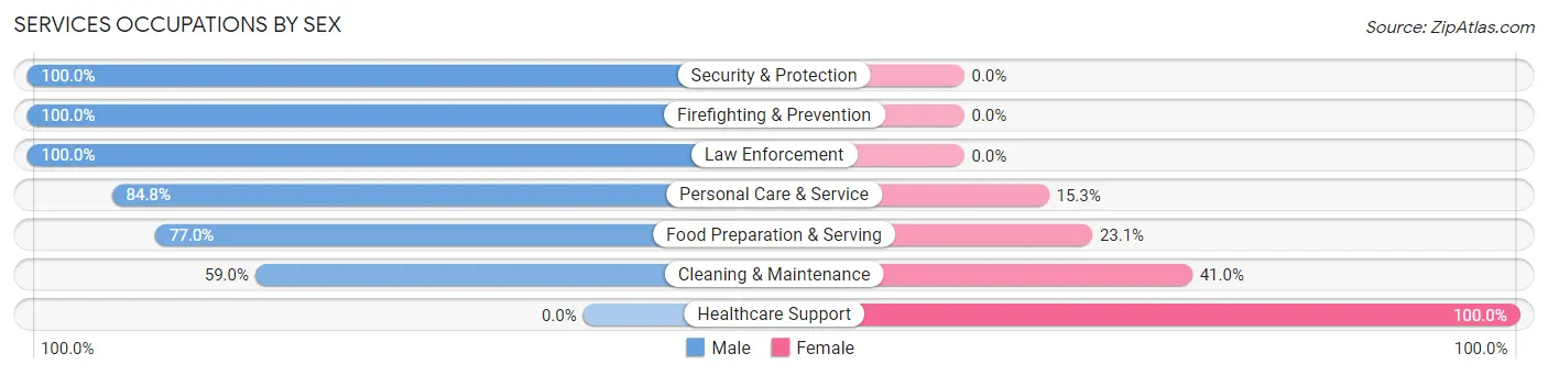 Services Occupations by Sex in Zip Code 34446