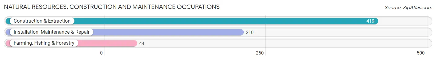 Natural Resources, Construction and Maintenance Occupations in Zip Code 34474