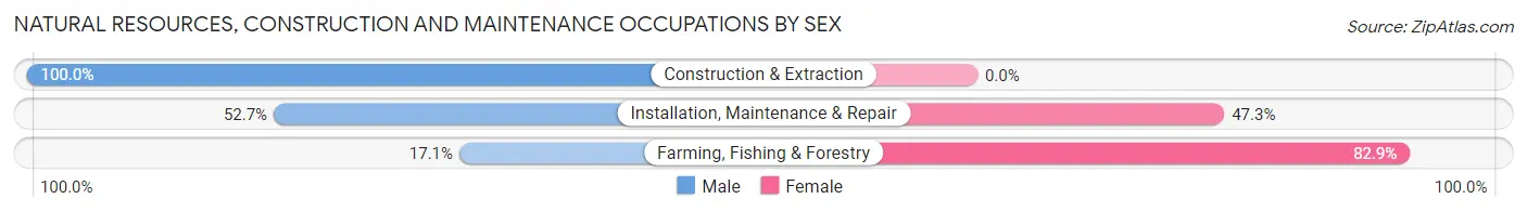 Natural Resources, Construction and Maintenance Occupations by Sex in Zip Code 34484