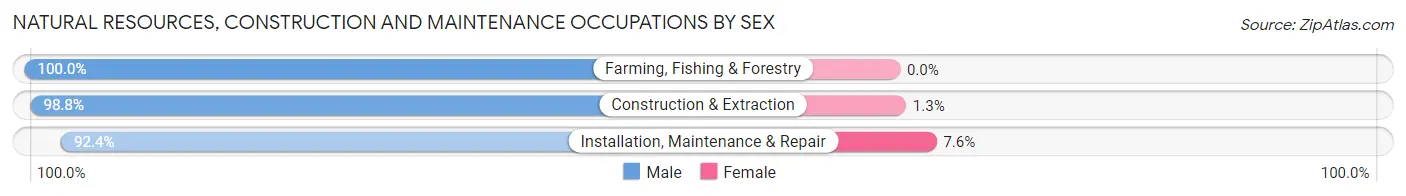 Natural Resources, Construction and Maintenance Occupations by Sex in Zip Code 34608