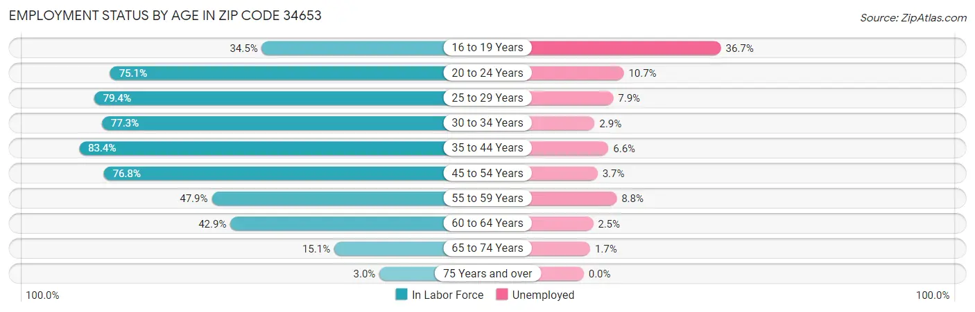 Employment Status by Age in Zip Code 34653