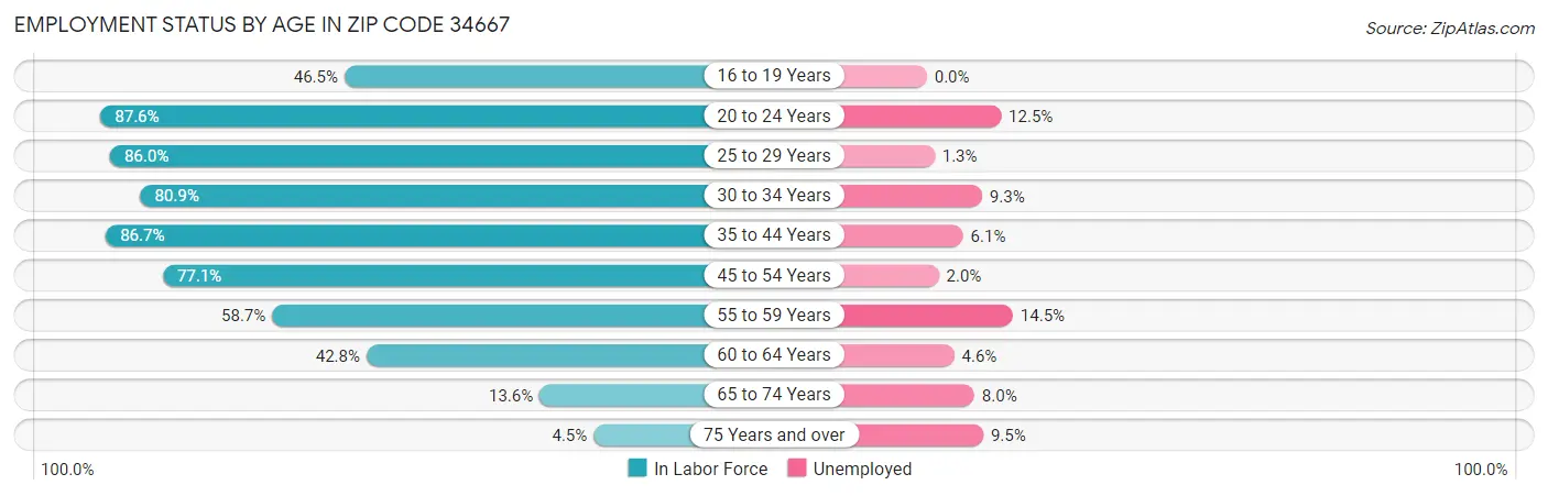 Employment Status by Age in Zip Code 34667