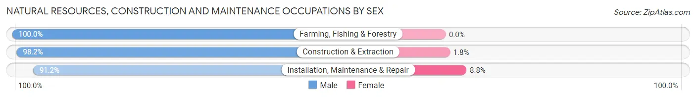 Natural Resources, Construction and Maintenance Occupations by Sex in Zip Code 34667