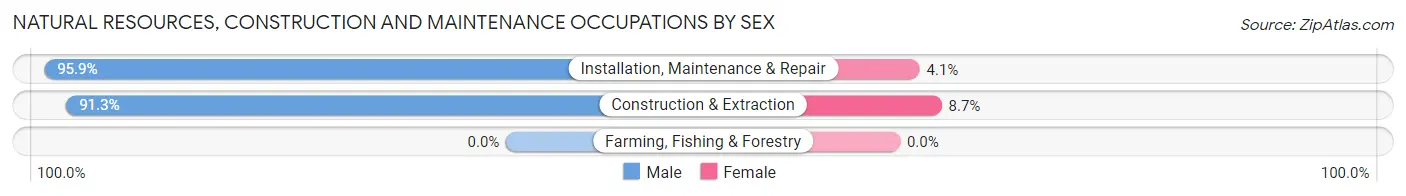 Natural Resources, Construction and Maintenance Occupations by Sex in Zip Code 34668
