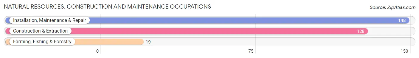 Natural Resources, Construction and Maintenance Occupations in Zip Code 34685