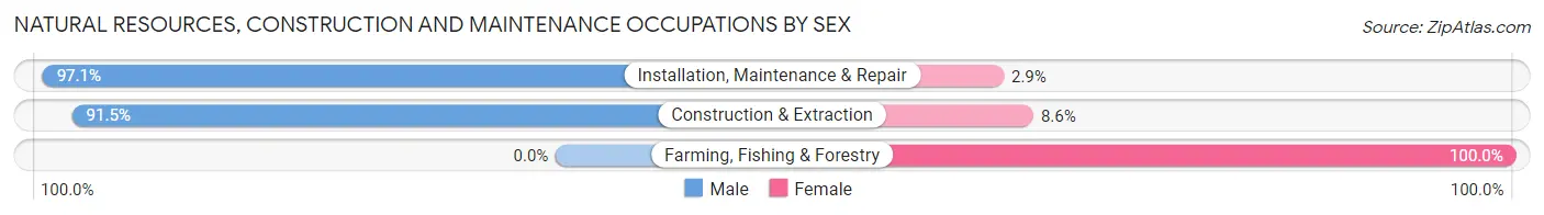 Natural Resources, Construction and Maintenance Occupations by Sex in Zip Code 34698