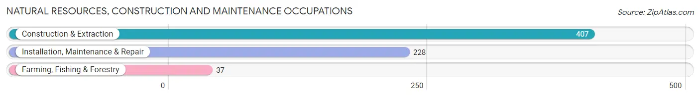 Natural Resources, Construction and Maintenance Occupations in Zip Code 34731