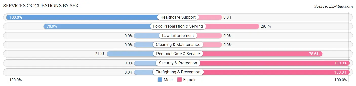 Services Occupations by Sex in Zip Code 34734