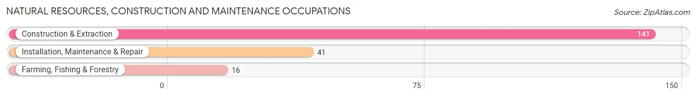 Natural Resources, Construction and Maintenance Occupations in Zip Code 34737