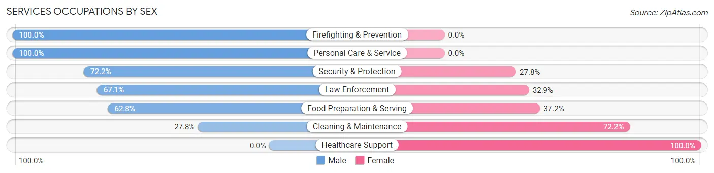 Services Occupations by Sex in Zip Code 34737