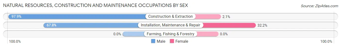 Natural Resources, Construction and Maintenance Occupations by Sex in Zip Code 34741