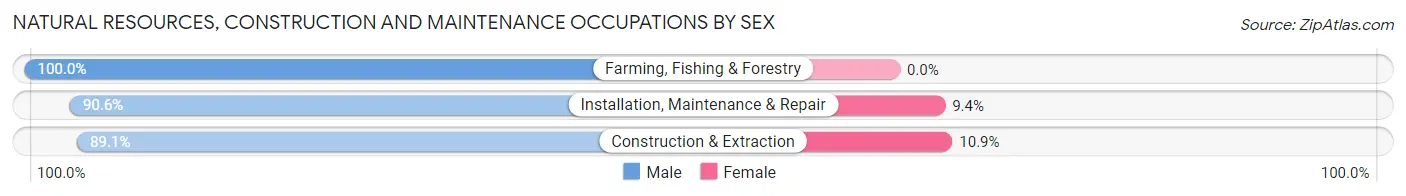 Natural Resources, Construction and Maintenance Occupations by Sex in Zip Code 34769