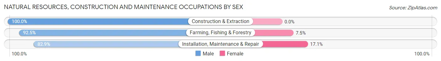 Natural Resources, Construction and Maintenance Occupations by Sex in Zip Code 34950