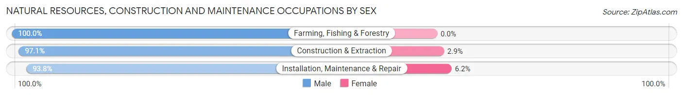 Natural Resources, Construction and Maintenance Occupations by Sex in Zip Code 34953