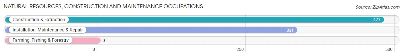 Natural Resources, Construction and Maintenance Occupations in Zip Code 34984