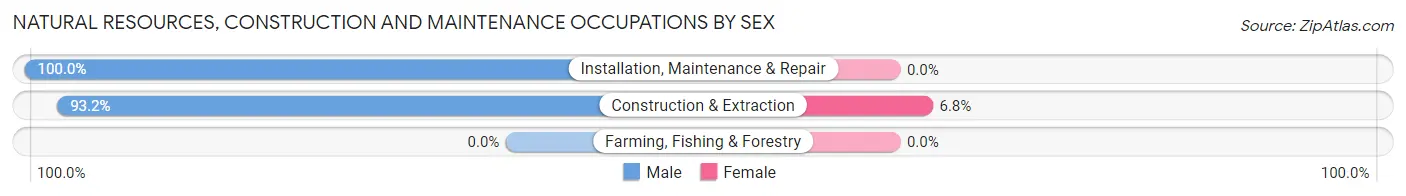 Natural Resources, Construction and Maintenance Occupations by Sex in Zip Code 35006