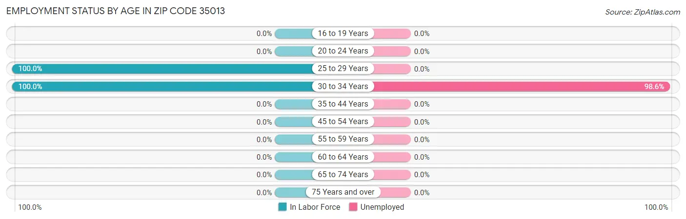 Employment Status by Age in Zip Code 35013