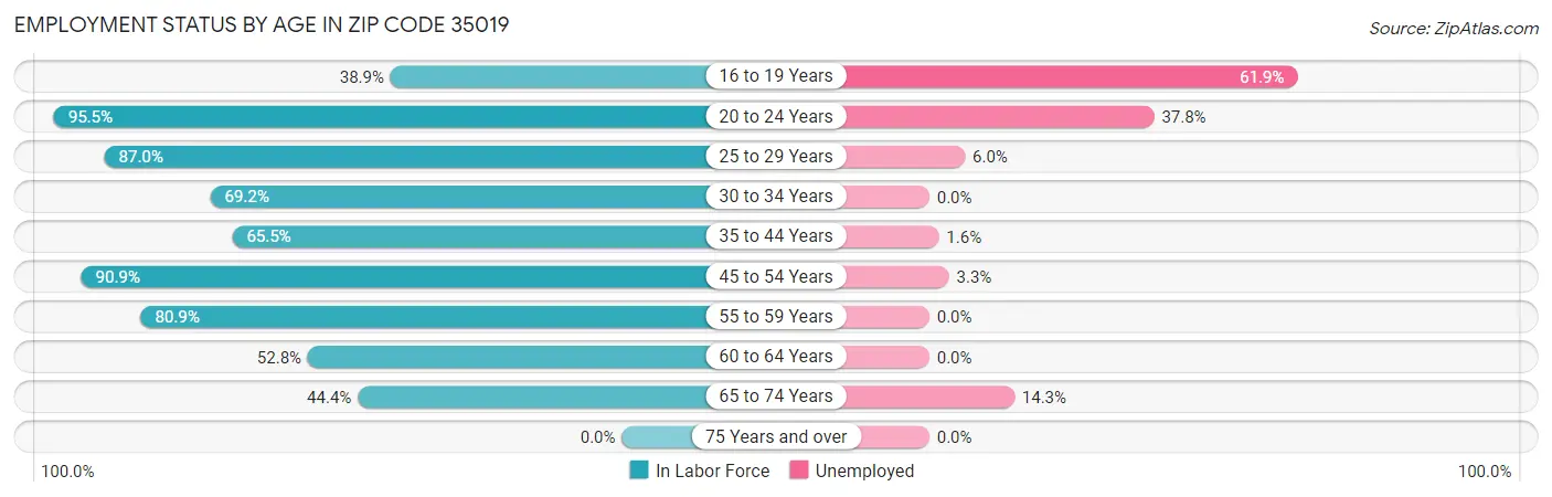 Employment Status by Age in Zip Code 35019