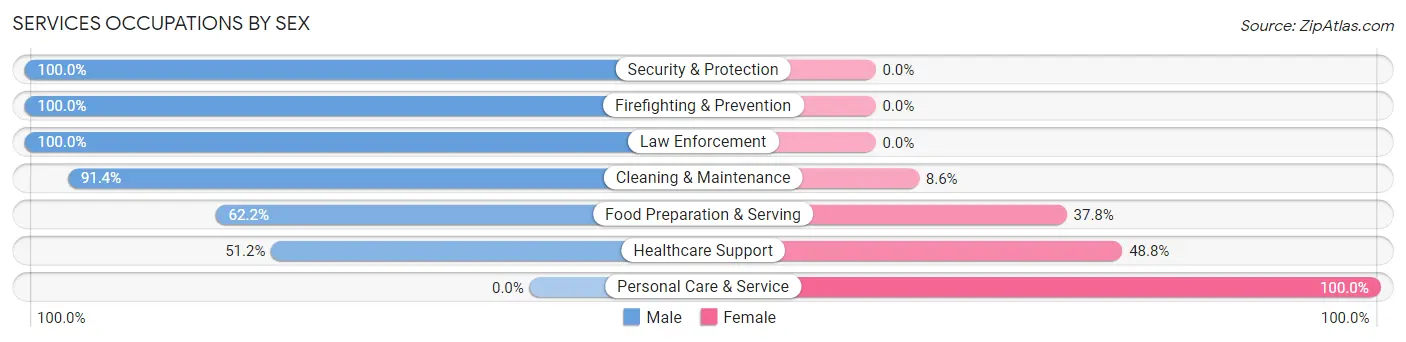 Services Occupations by Sex in Zip Code 35019