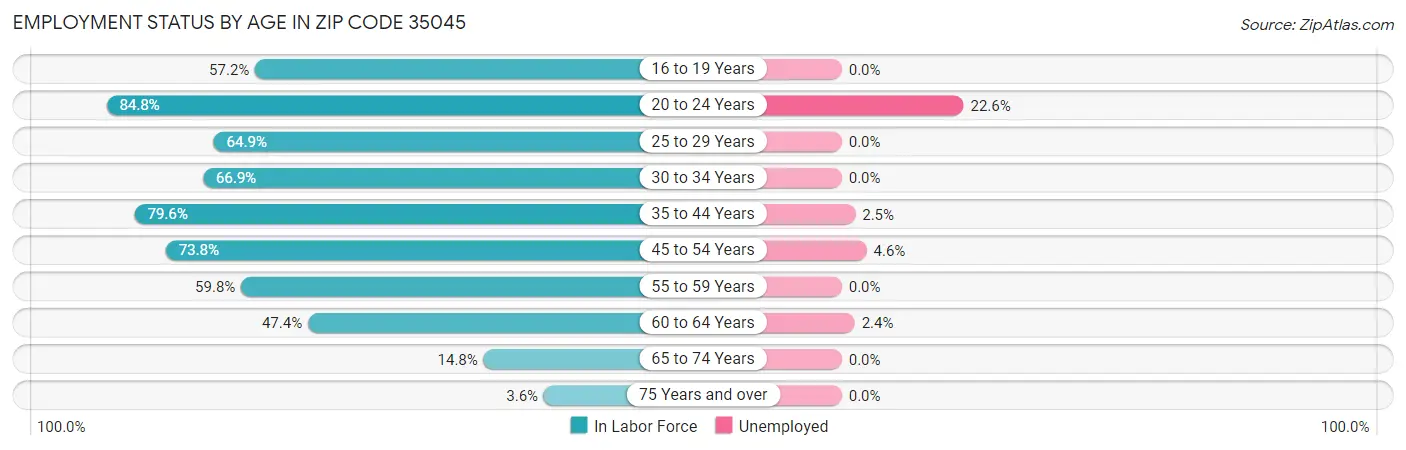 Employment Status by Age in Zip Code 35045