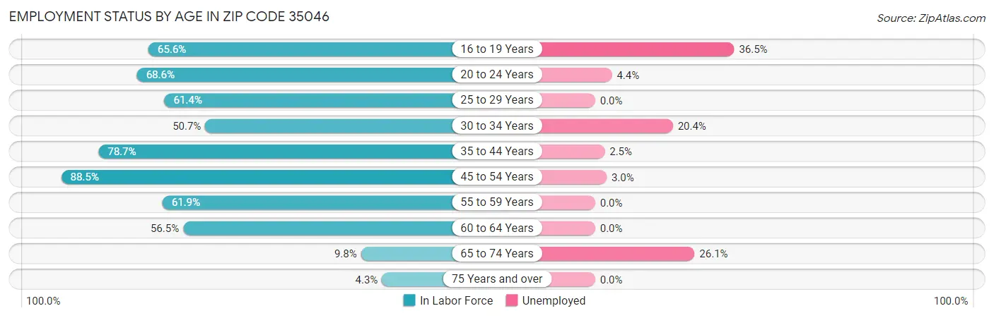 Employment Status by Age in Zip Code 35046