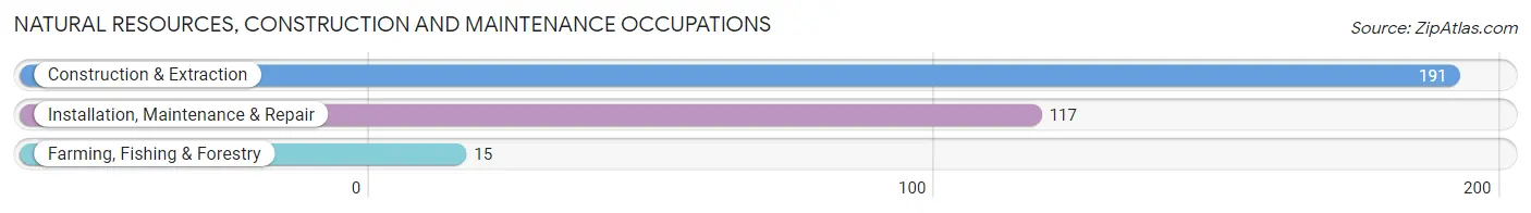 Natural Resources, Construction and Maintenance Occupations in Zip Code 35046