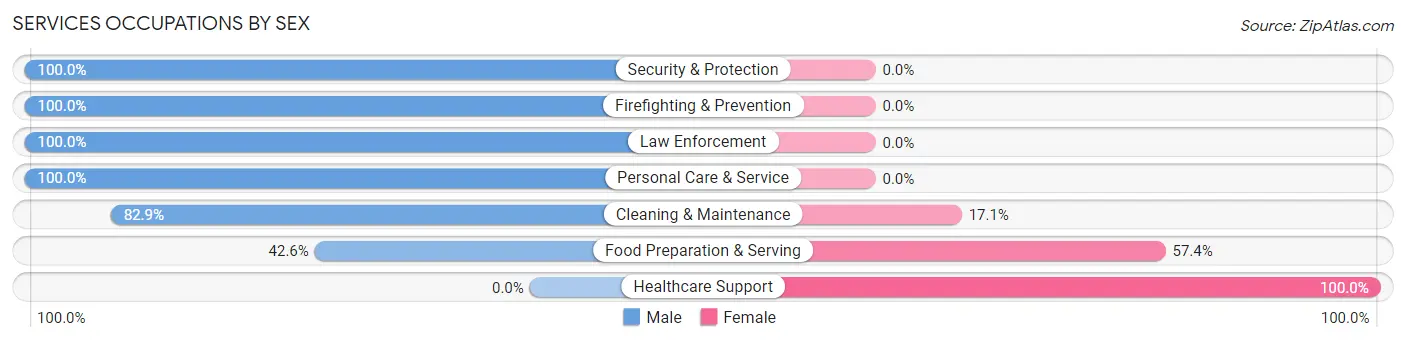 Services Occupations by Sex in Zip Code 35049