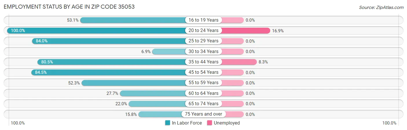 Employment Status by Age in Zip Code 35053