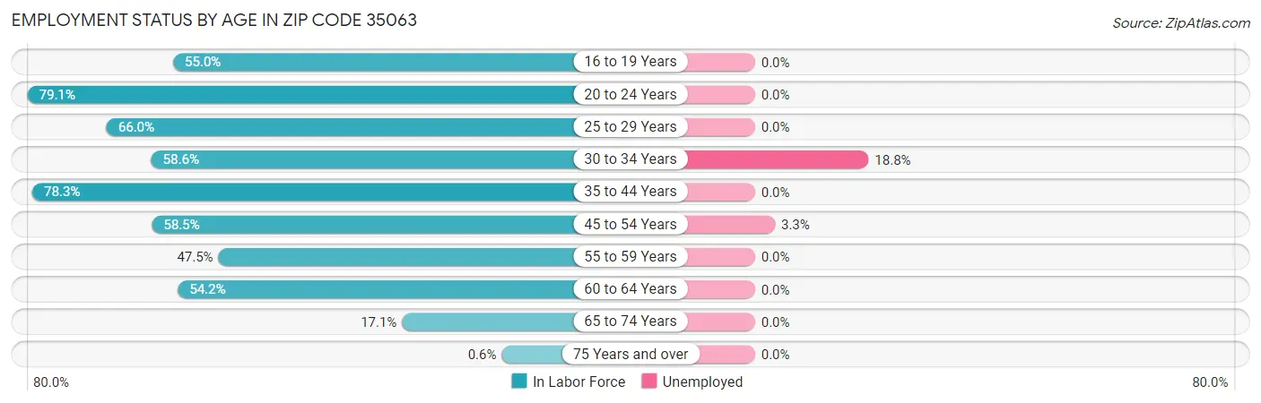 Employment Status by Age in Zip Code 35063