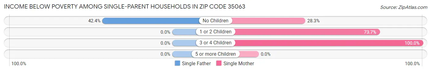 Income Below Poverty Among Single-Parent Households in Zip Code 35063